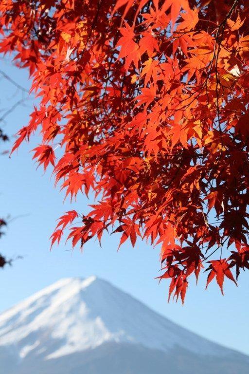 Villa 御師の家　梅谷（Umeya） Fujikawaguchiko Exterior foto